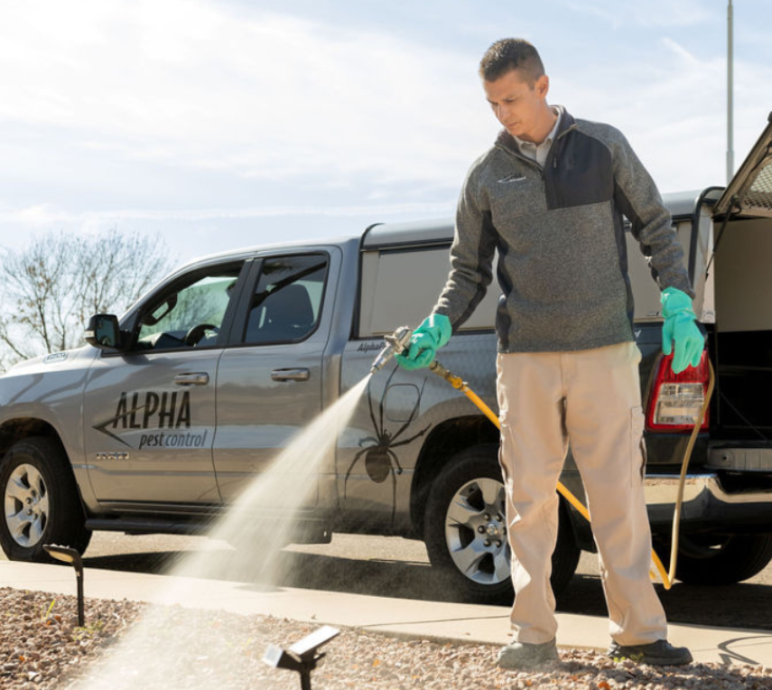 Alpha Pest Control in Tempe, AZ